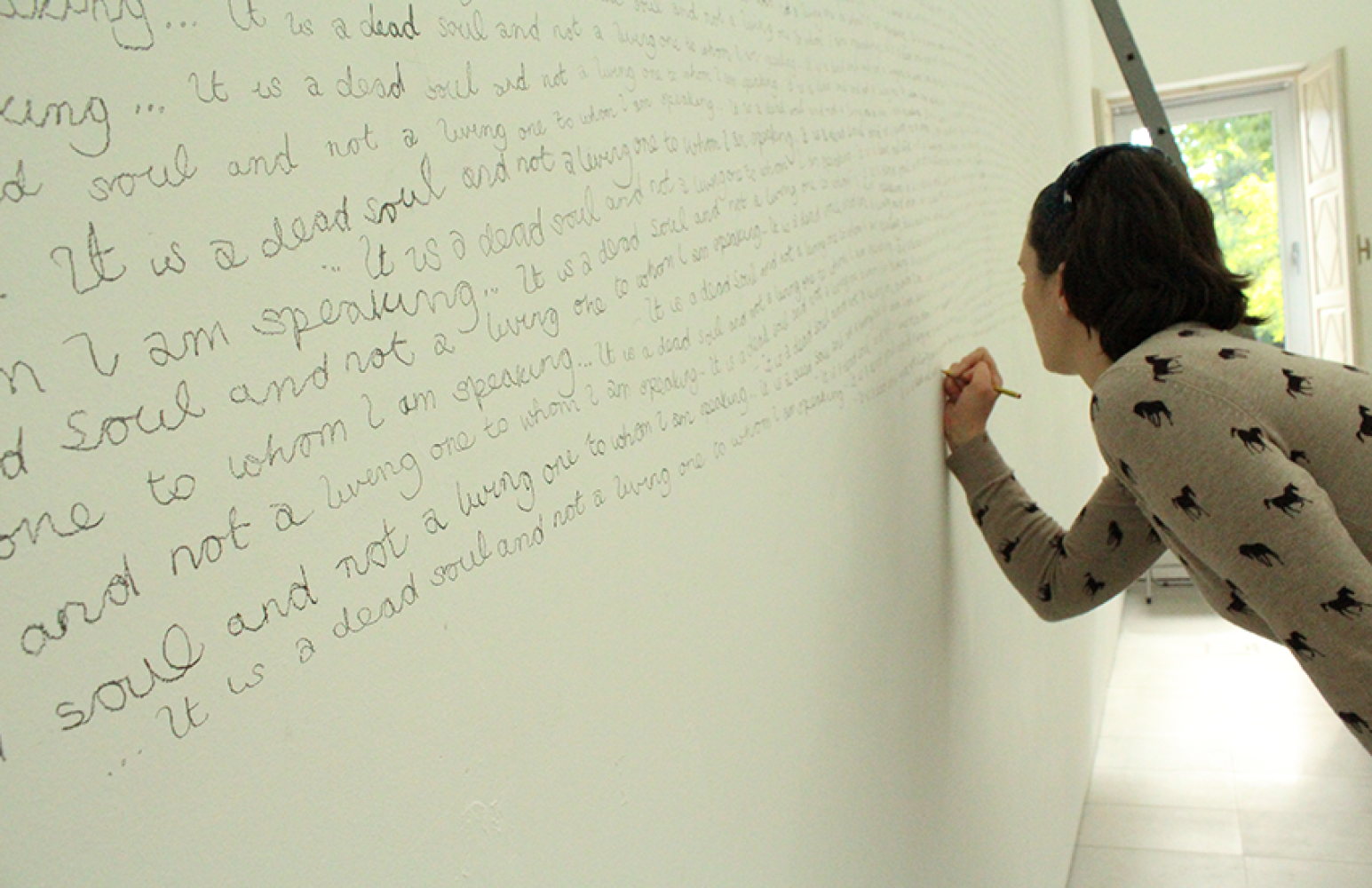 Univerzitet Crne Gore