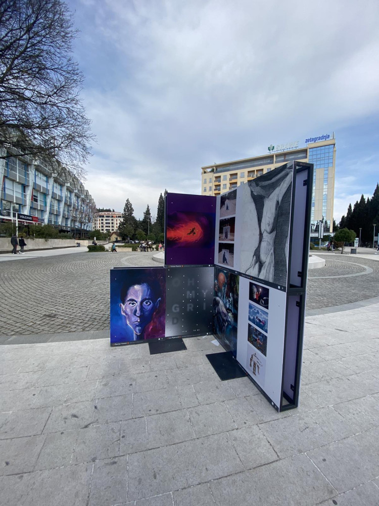 Univerzitet Crne Gore