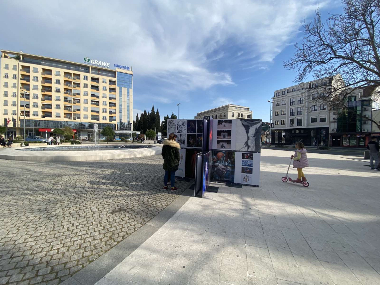 Univerzitet Crne Gore