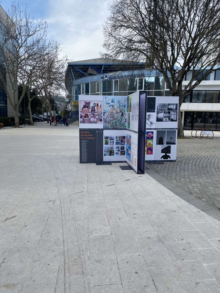 Univerzitet Crne Gore