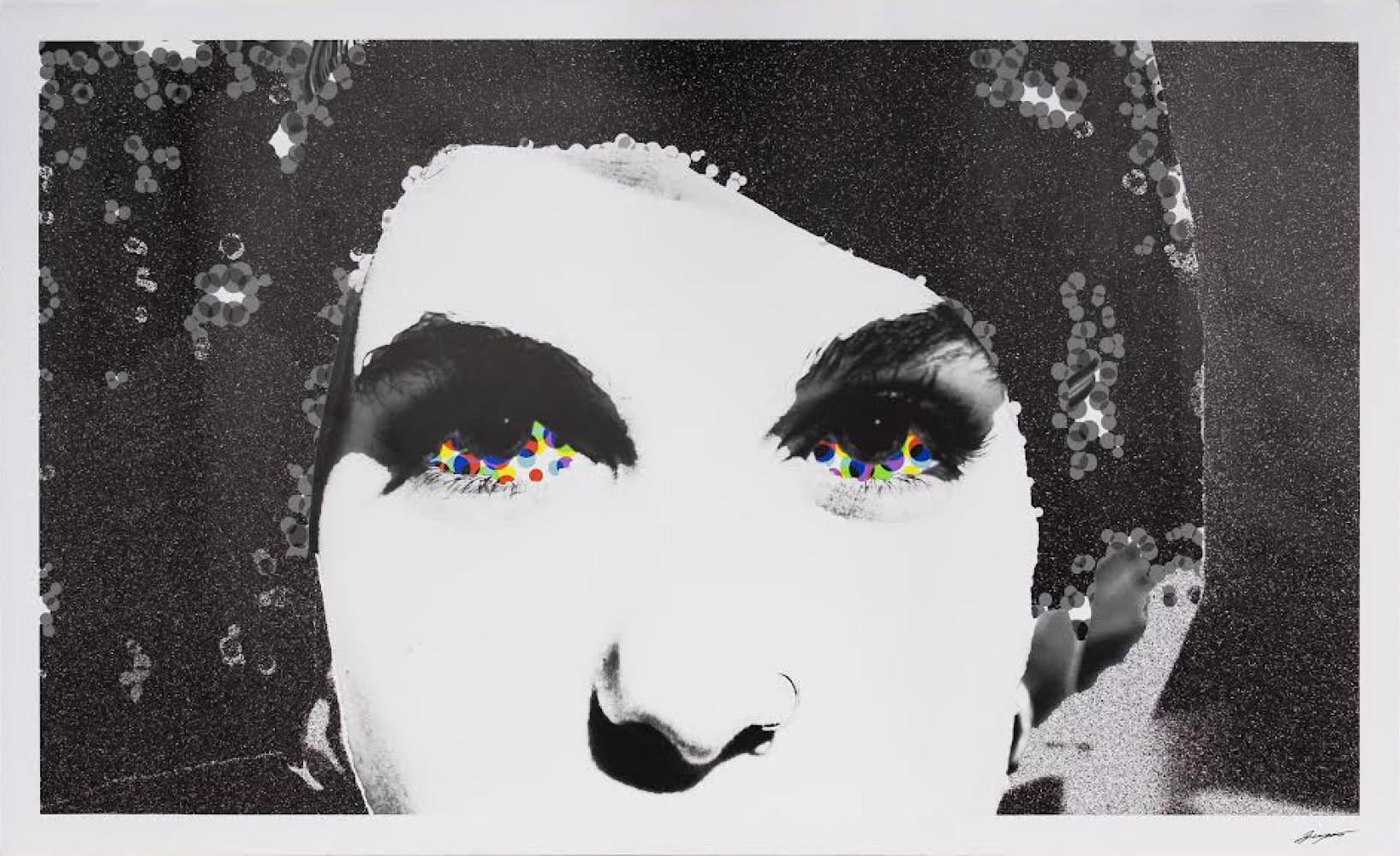 Univerzitet Crne Gore