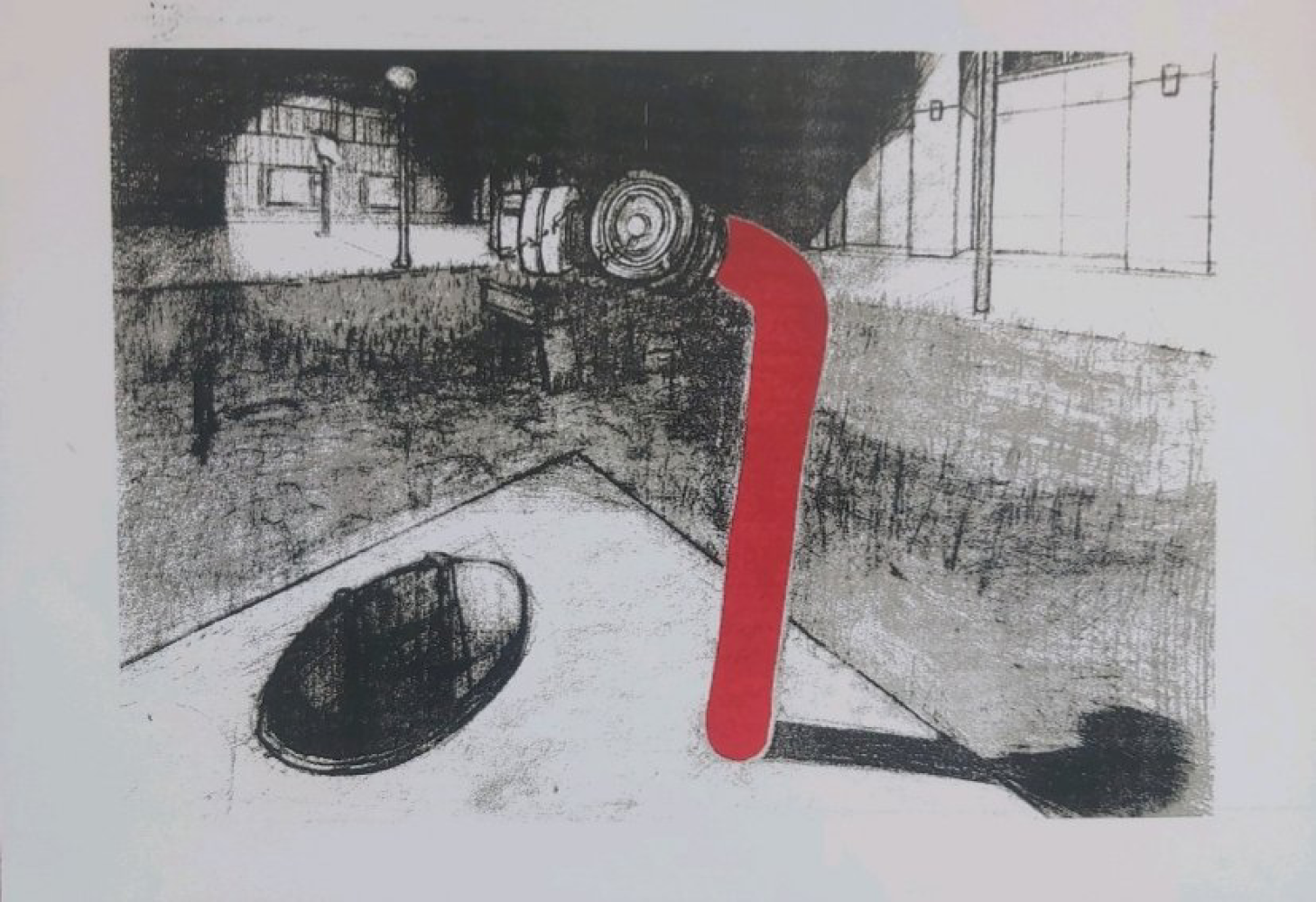 Univerzitet Crne Gore