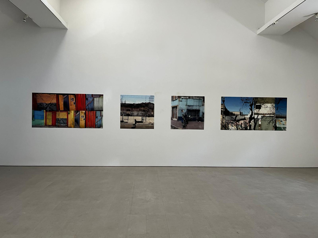 Univerzitet Crne Gore