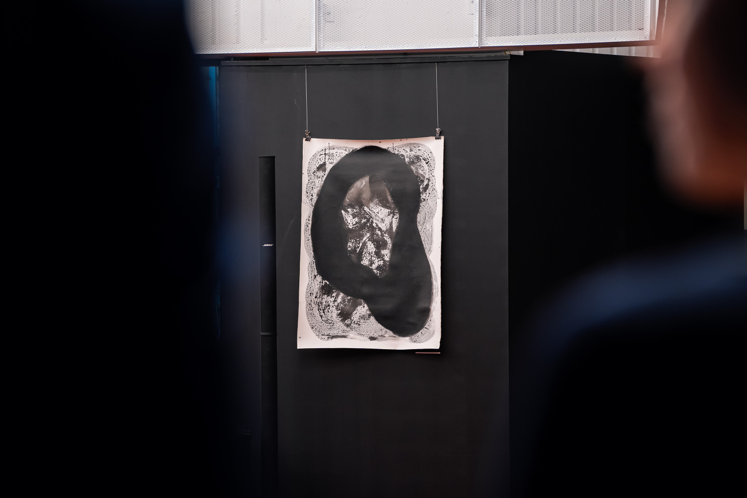 Univerzitet Crne Gore