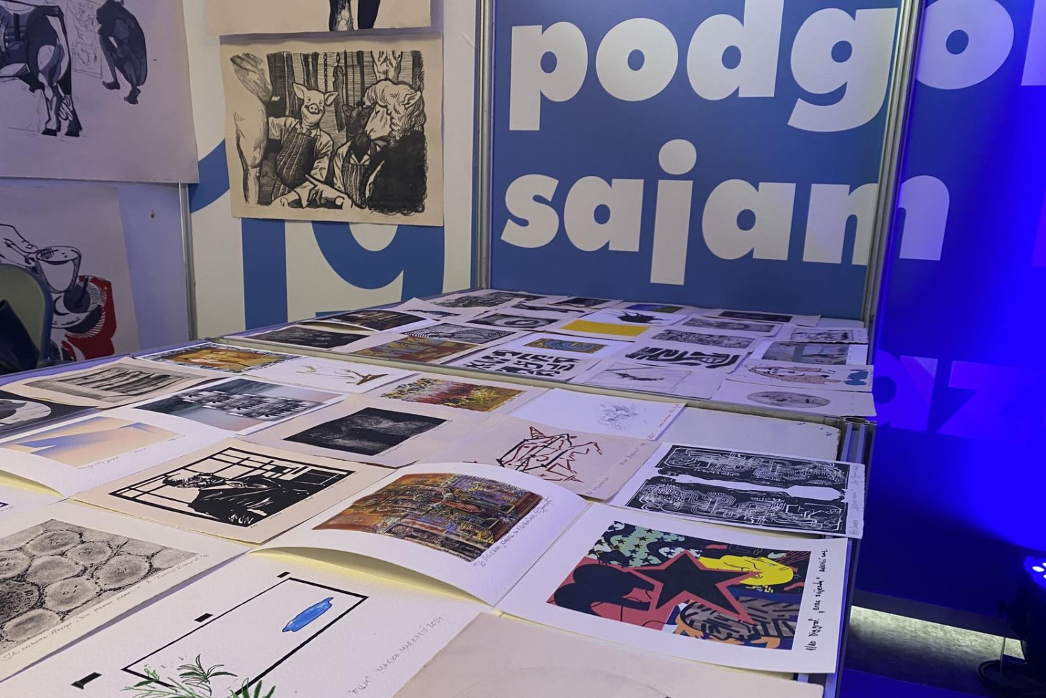 Univerzitet Crne Gore