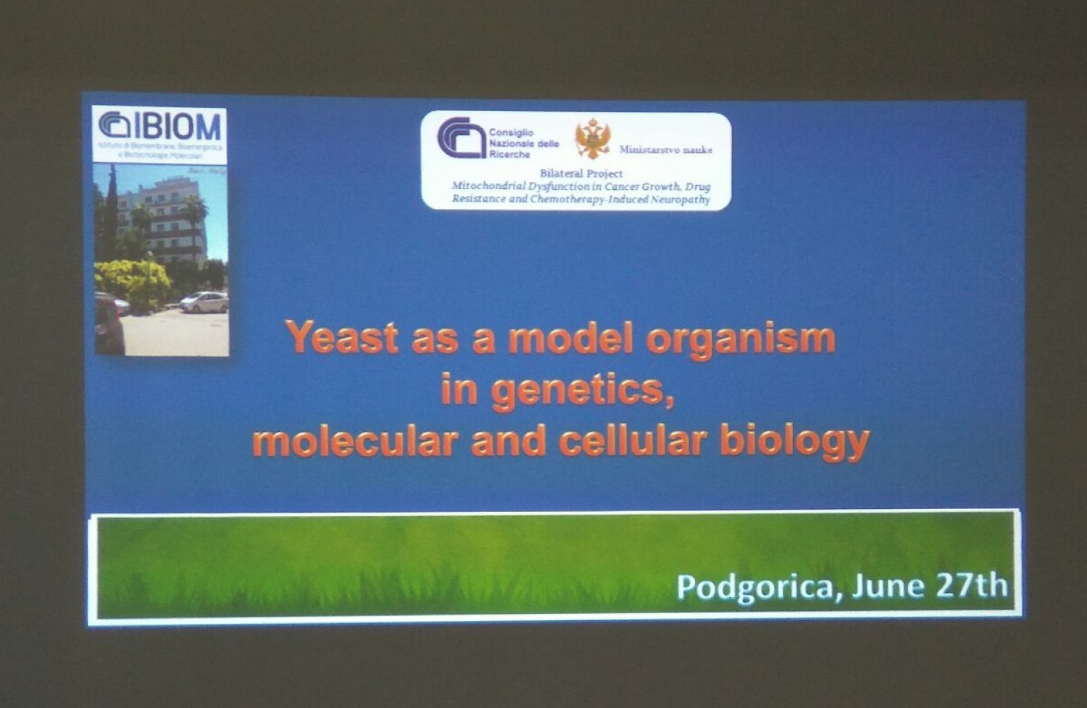 Univerzitet Crne Gore