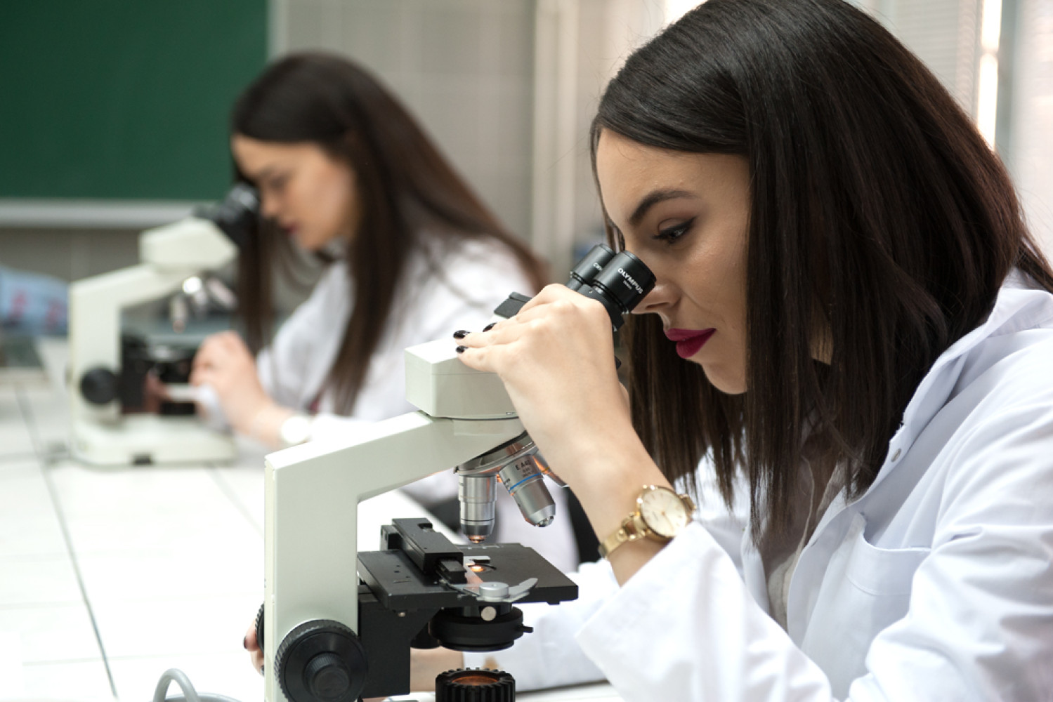 Univerzitet Crne Gore