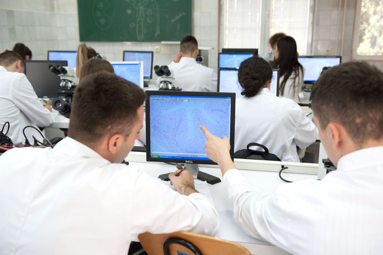 Univerzitet Crne Gore