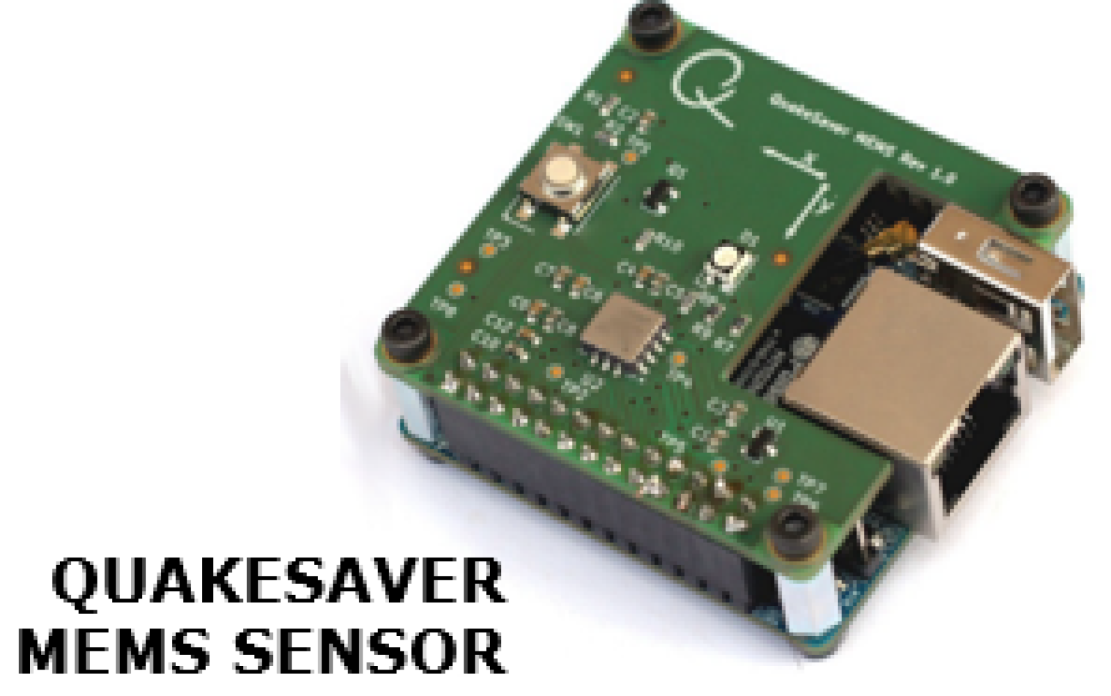 Univerzitet Crne Gore