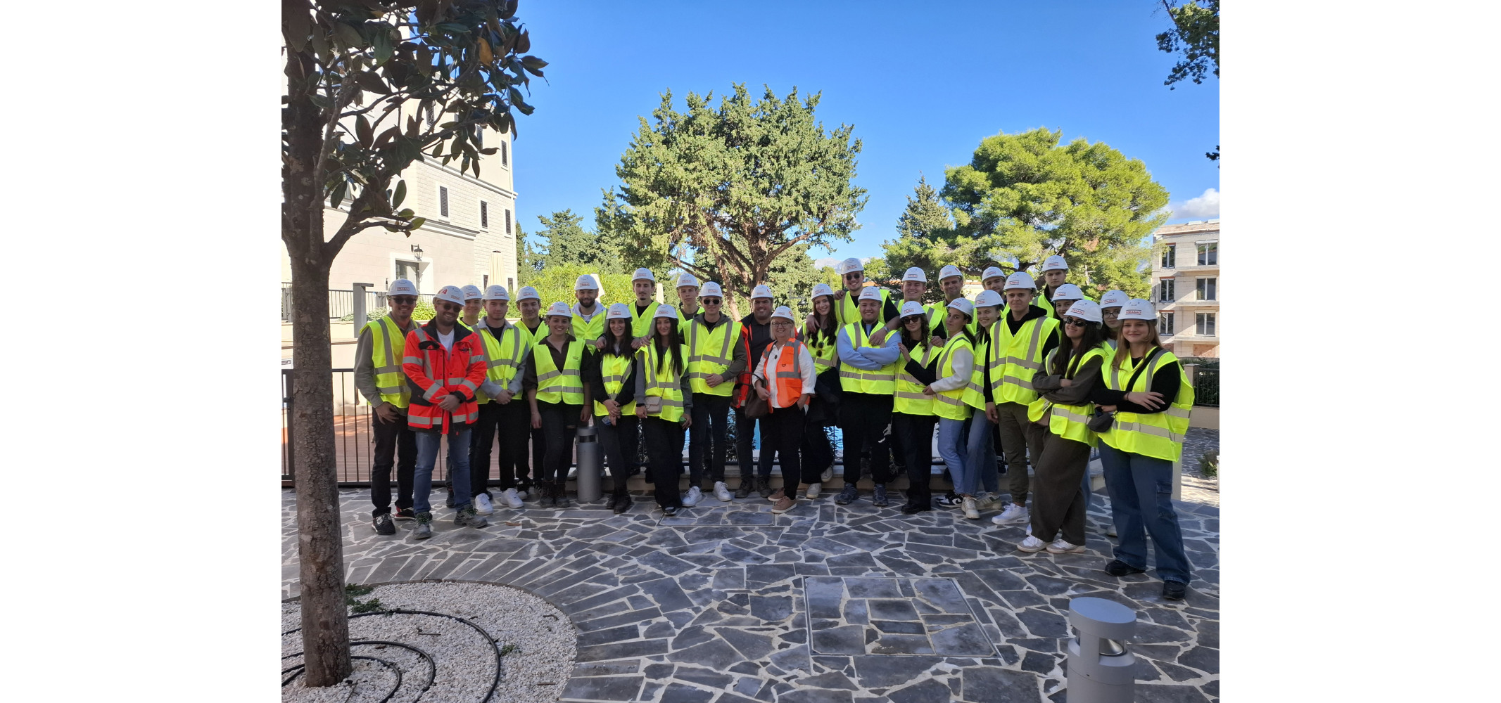 Univerzitet Crne Gore