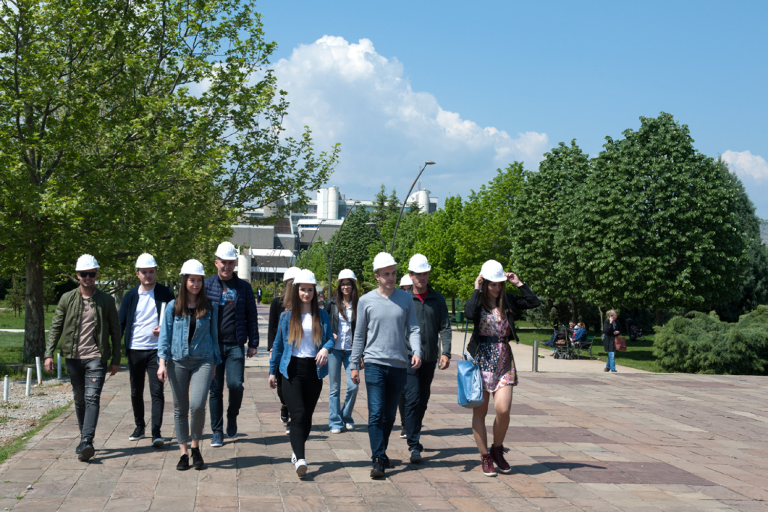 Univerzitet Crne Gore