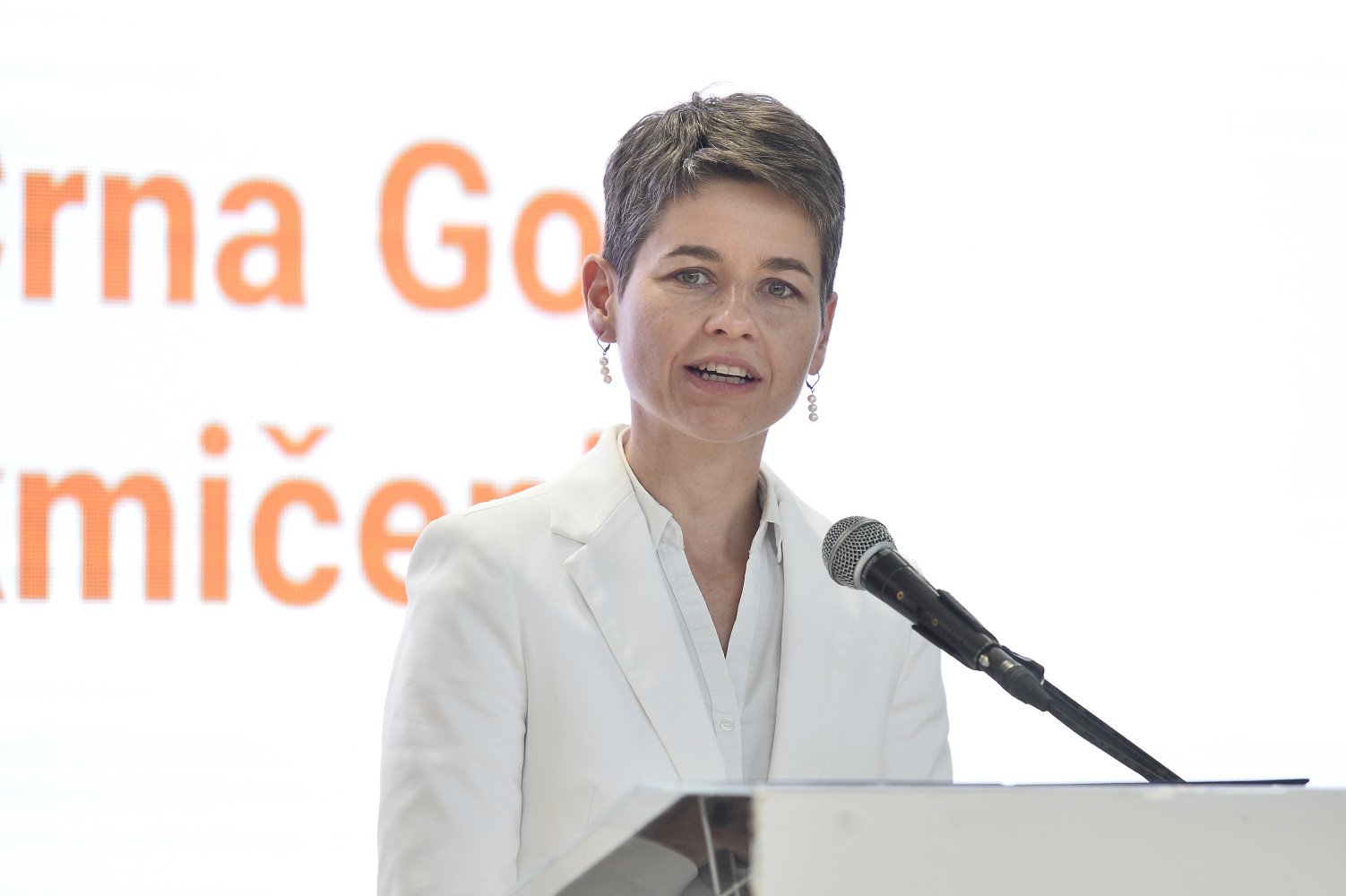 Univerzitet Crne Gore