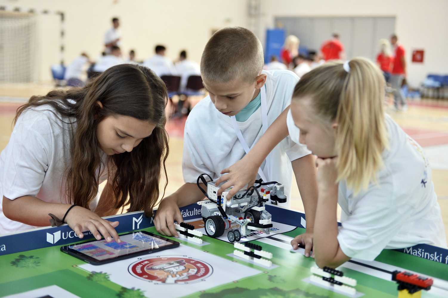 Univerzitet Crne Gore