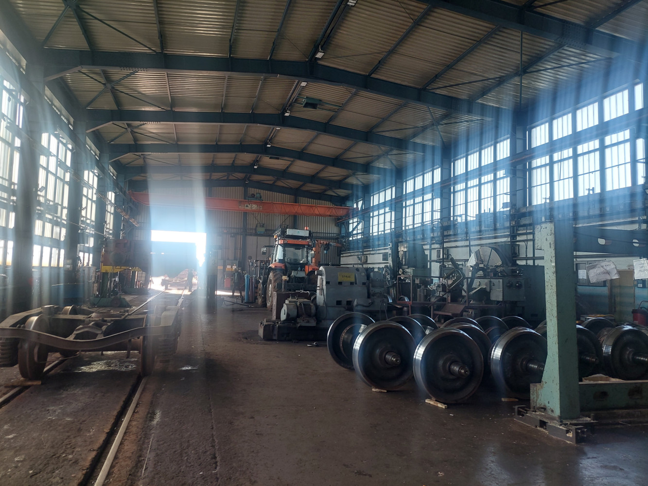 Univerzitet Crne Gore