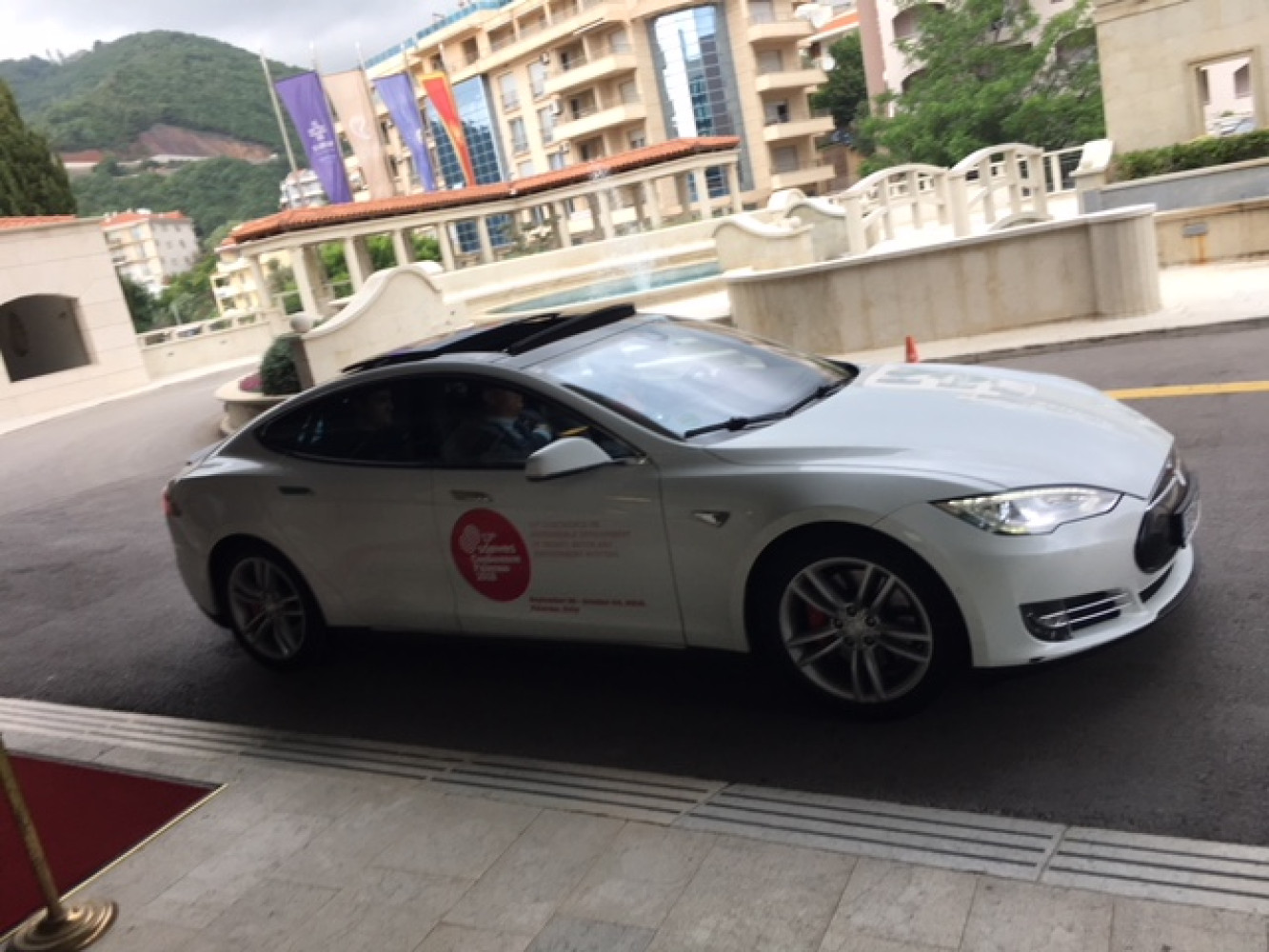 Univerzitet Crne Gore