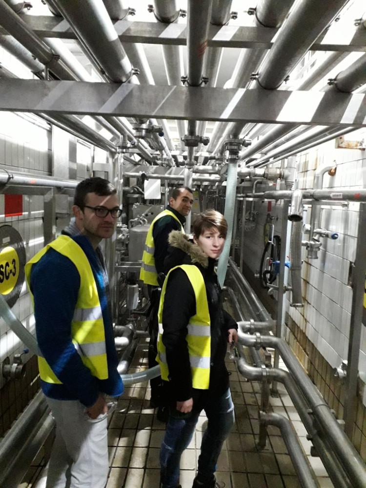 Univerzitet Crne Gore