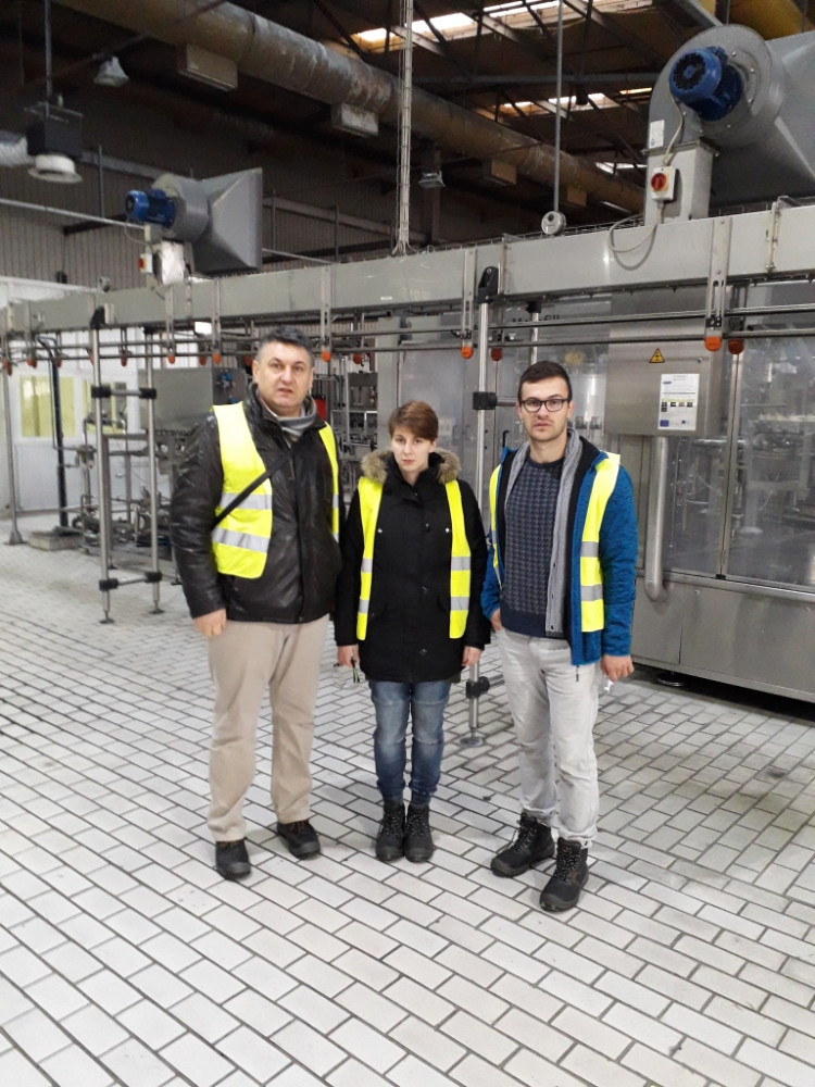 Univerzitet Crne Gore