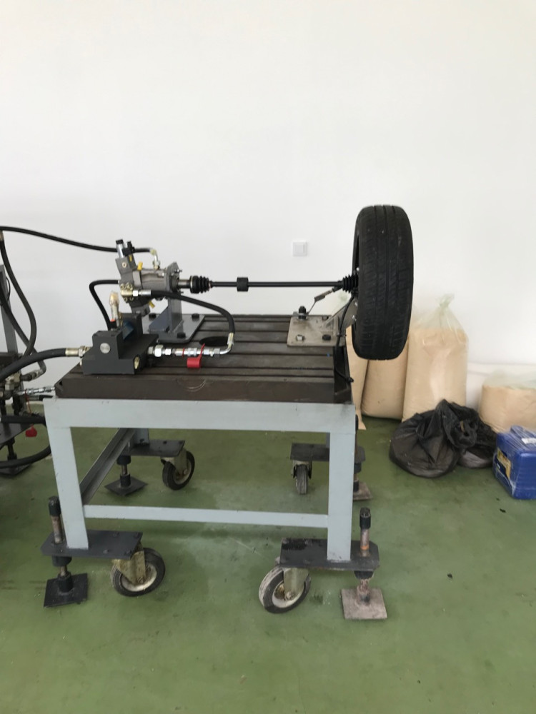 Univerzitet Crne Gore