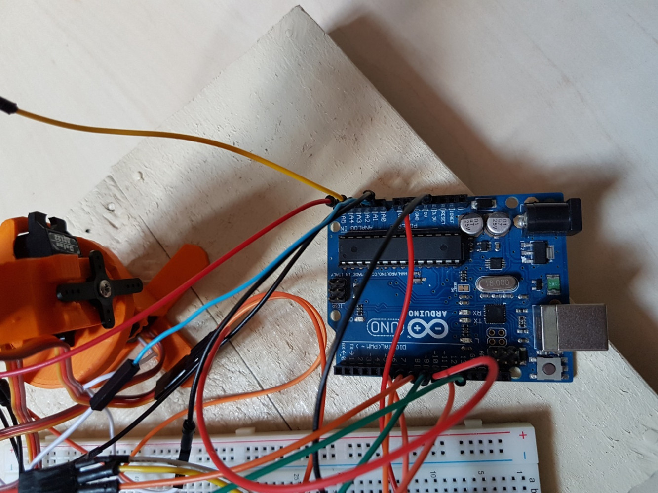 Univerzitet Crne Gore