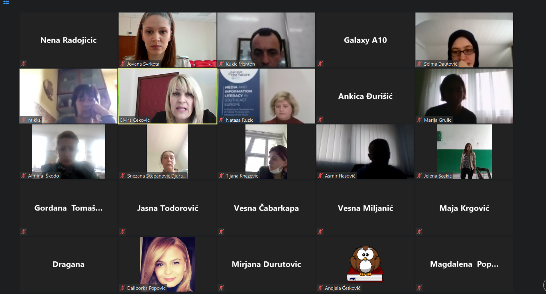 Univerzitet Crne Gore