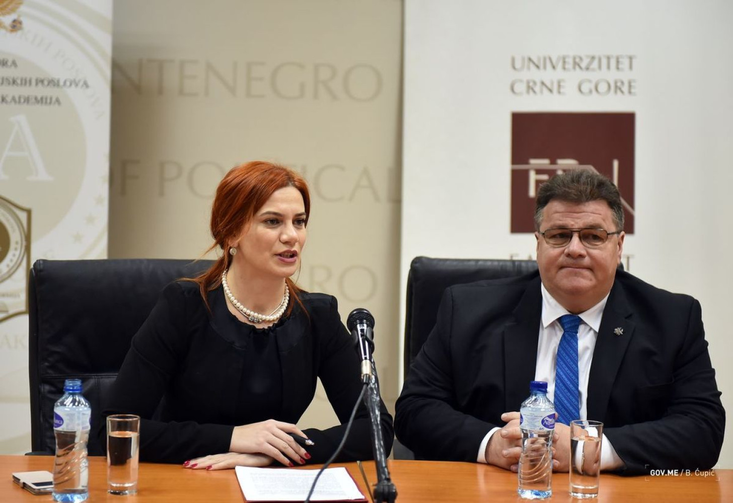 Univerzitet Crne Gore