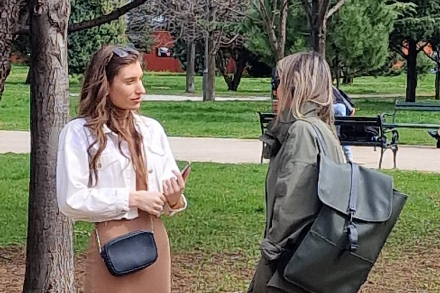 Univerzitet Crne Gore