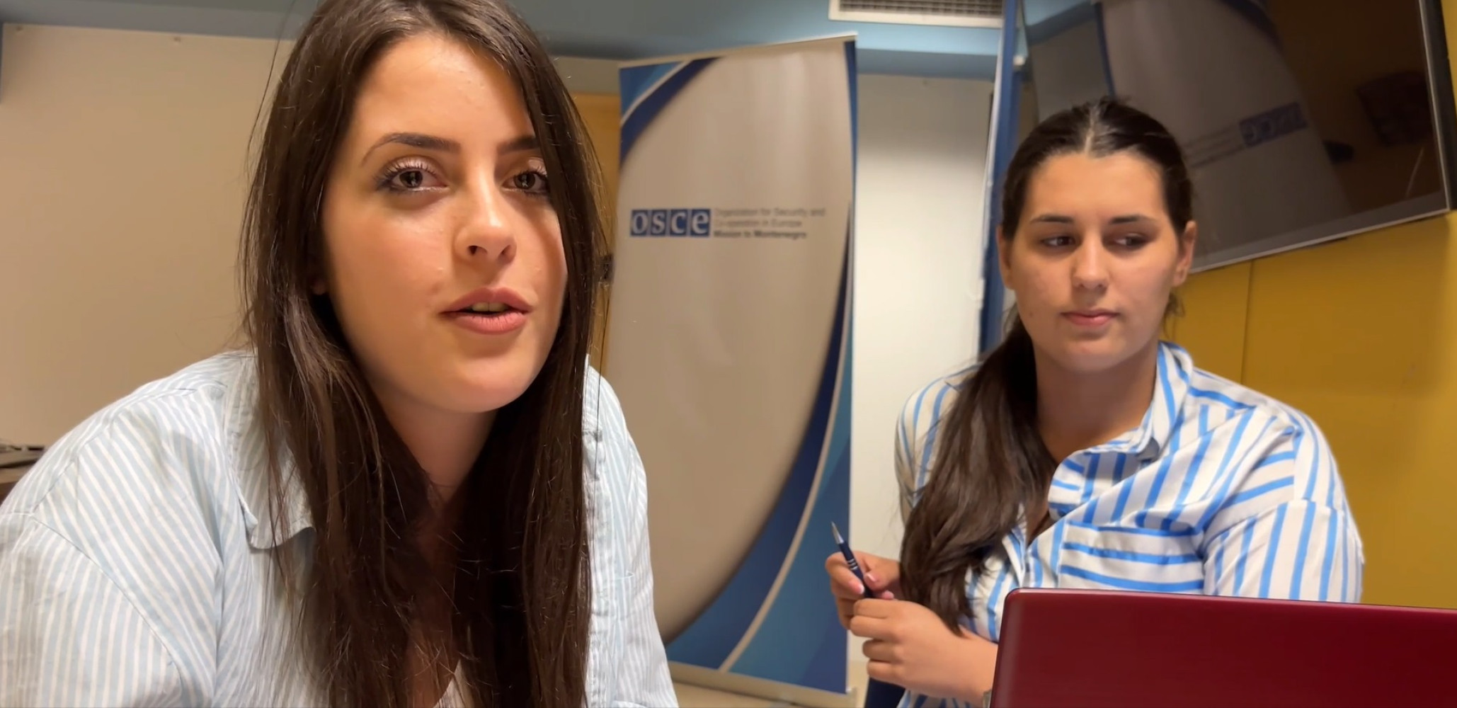 Univerzitet Crne Gore