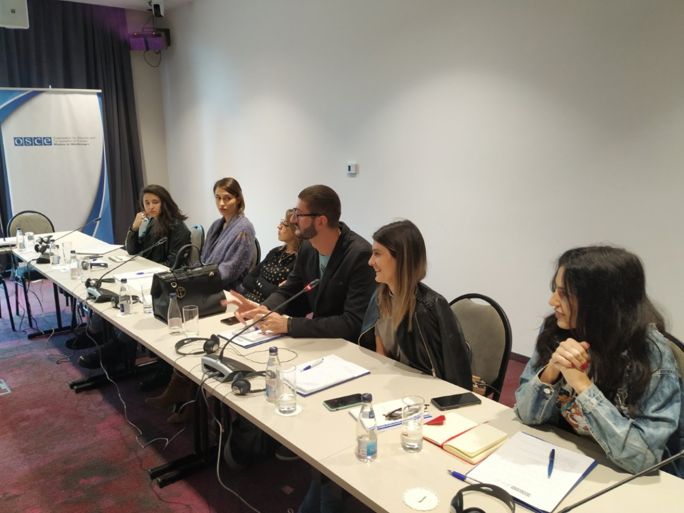 Univerzitet Crne Gore