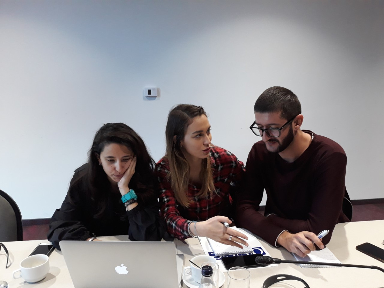 Univerzitet Crne Gore