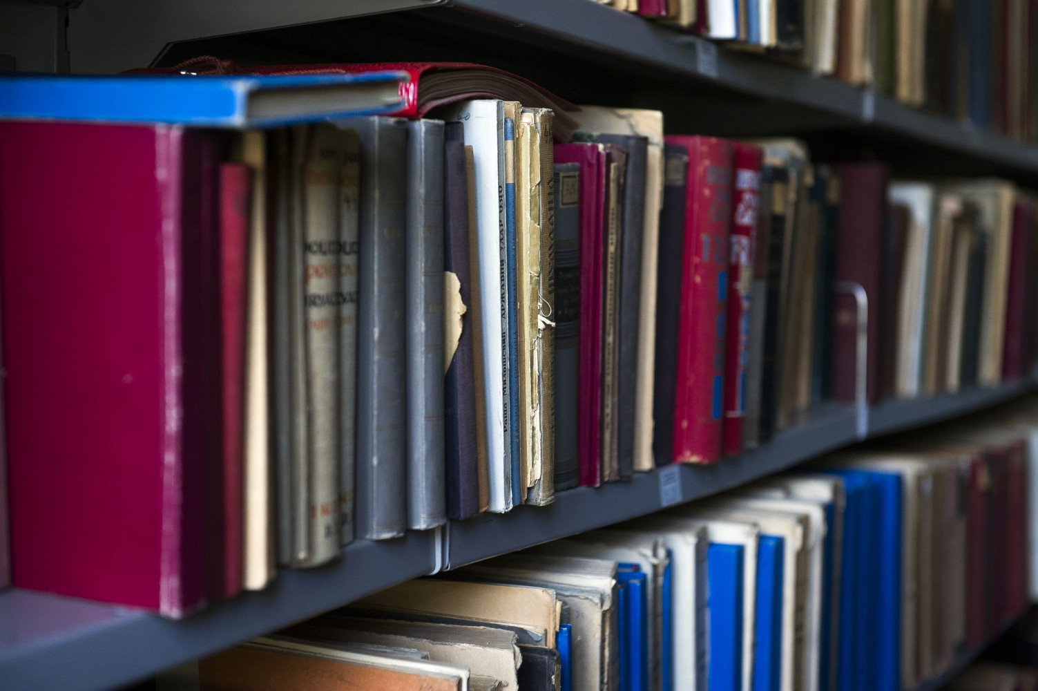 Univerzitet Crne Gore