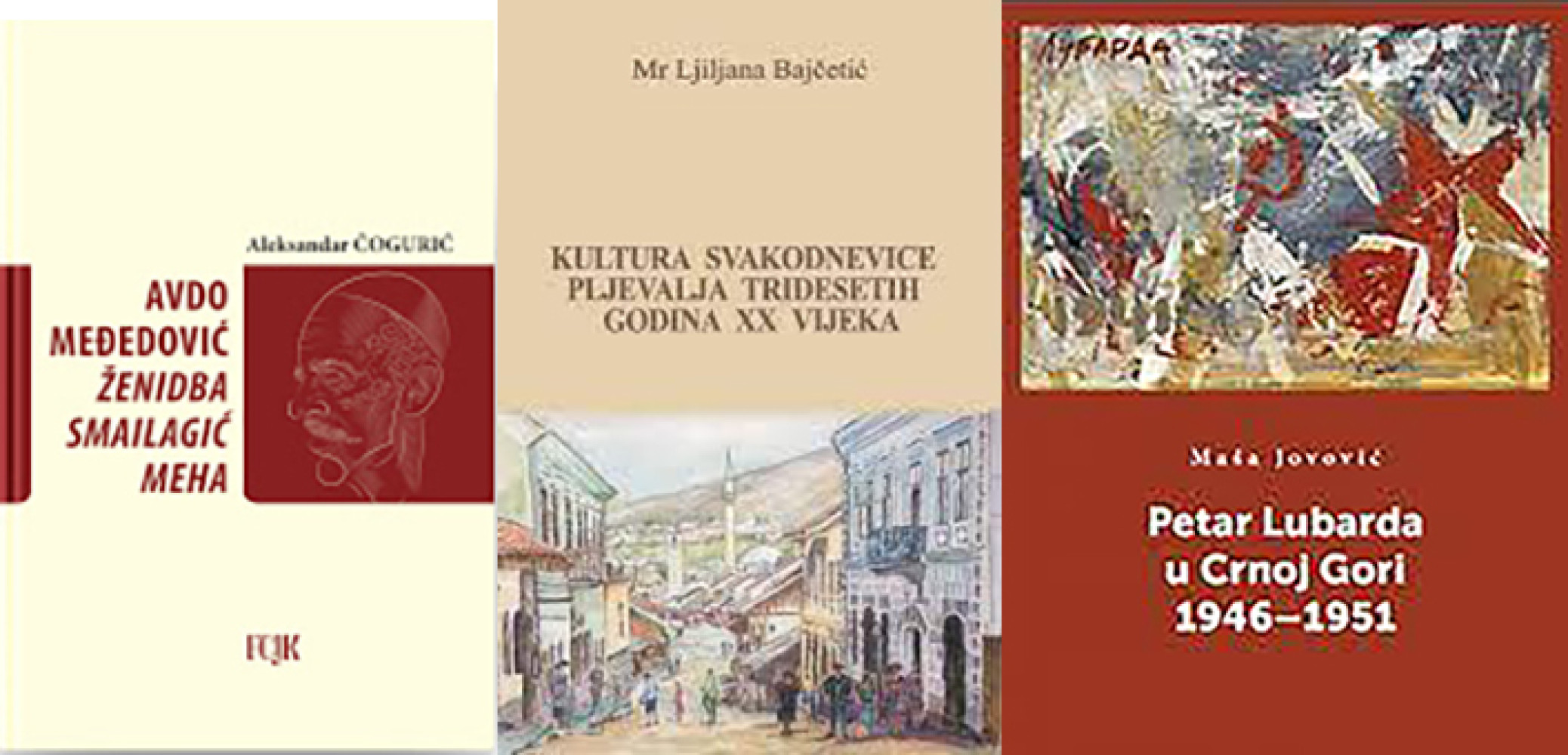 Univerzitet Crne Gore