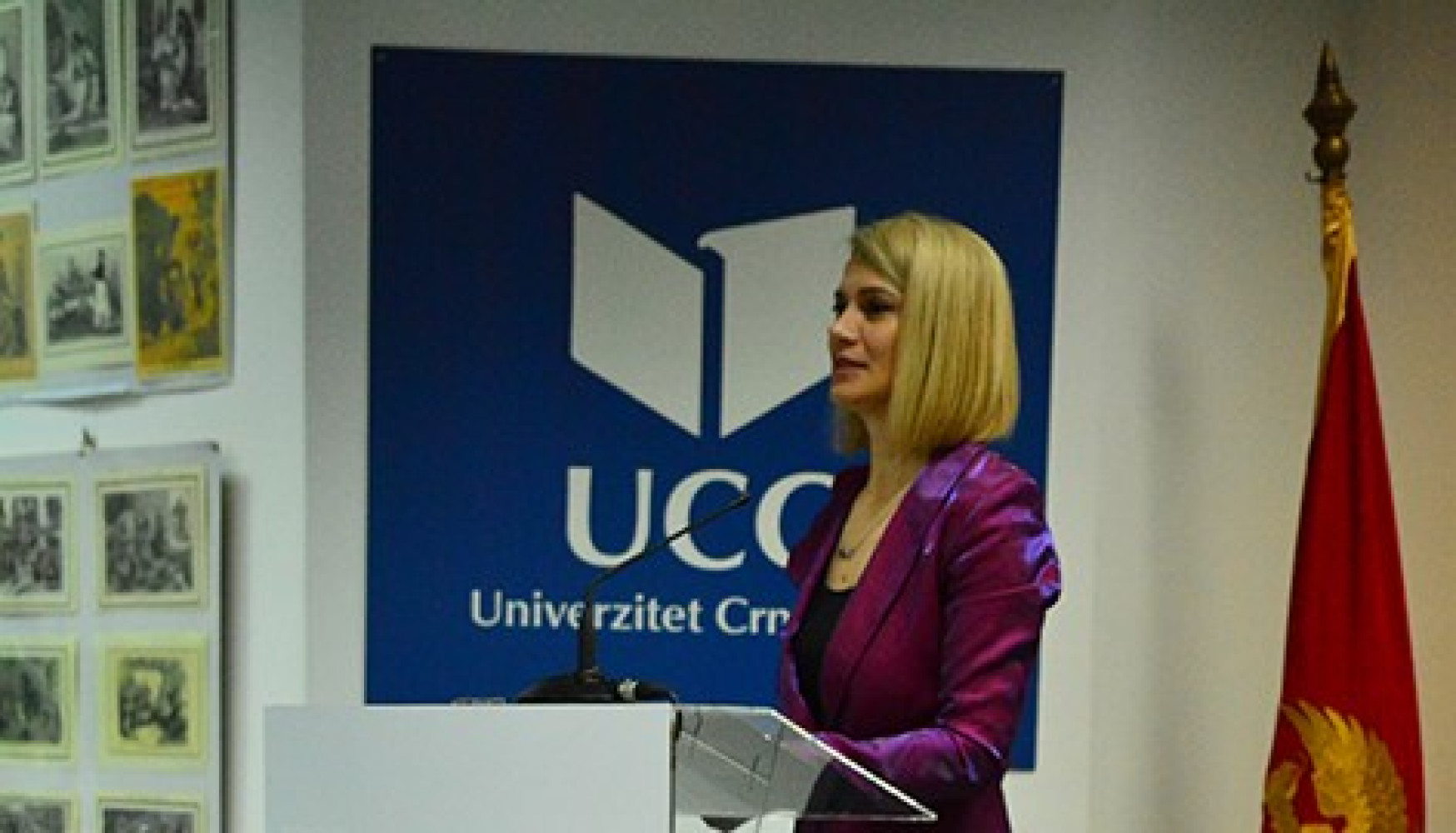 Univerzitet Crne Gore