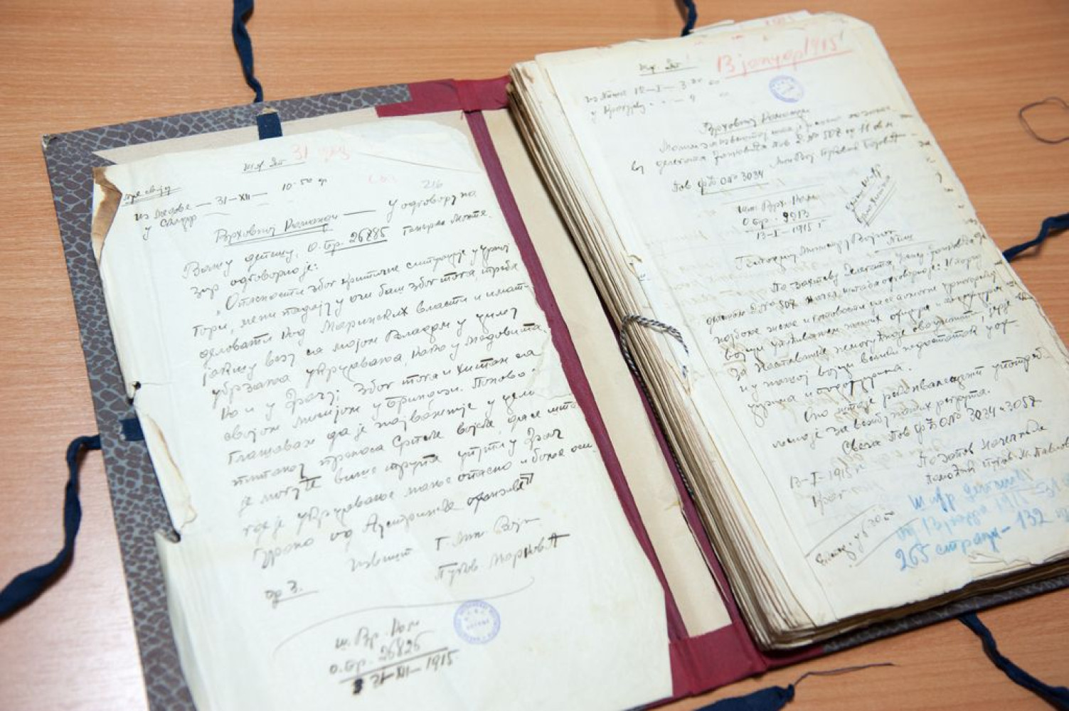 Univerzitet Crne Gore