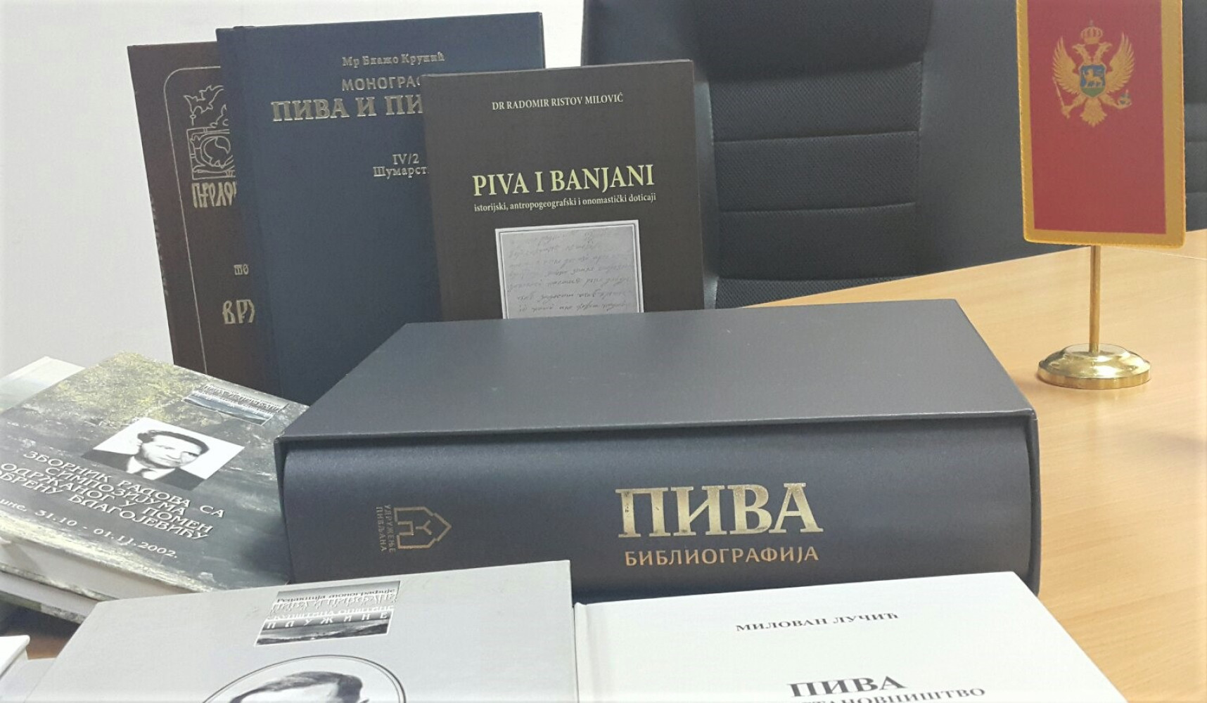 Univerzitet Crne Gore