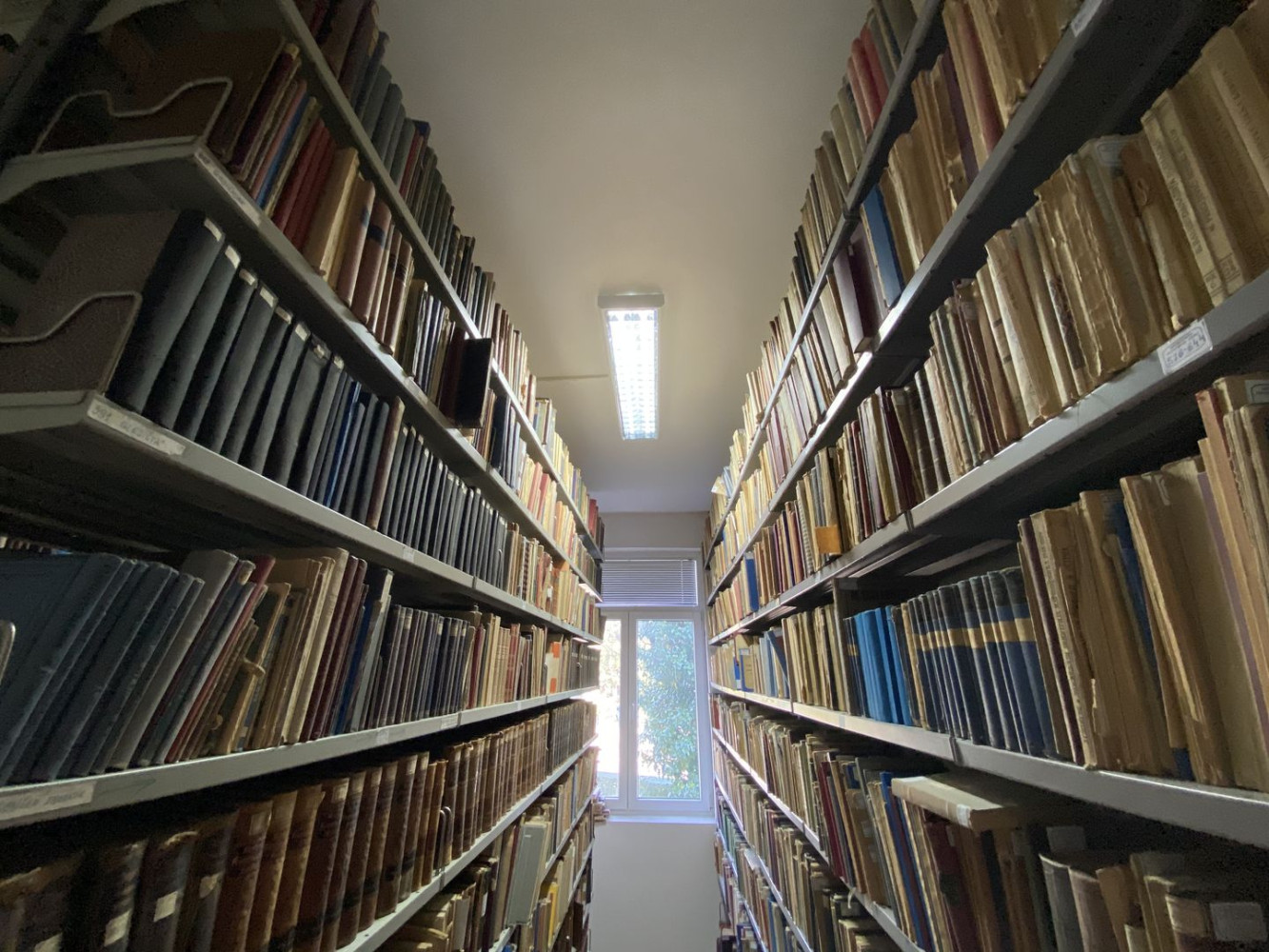 Univerzitet Crne Gore