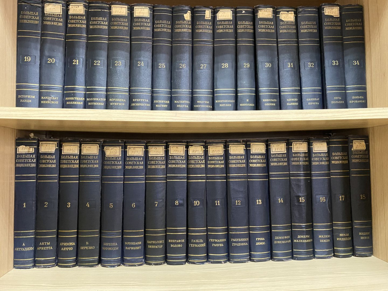 Univerzitet Crne Gore