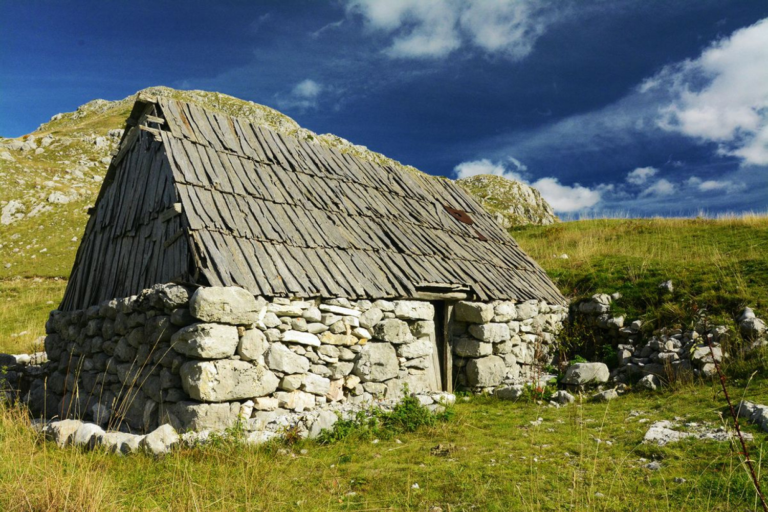 Univerzitet Crne Gore