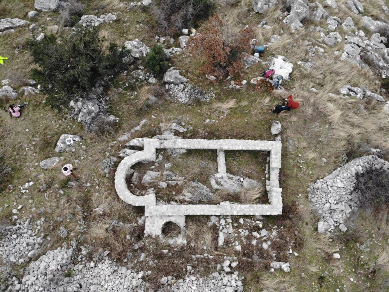 Univerzitet Crne Gore