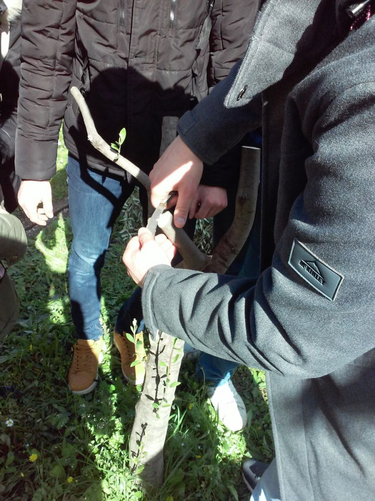 Univerzitet Crne Gore