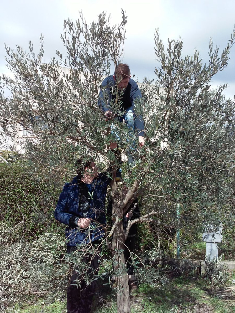 Univerzitet Crne Gore