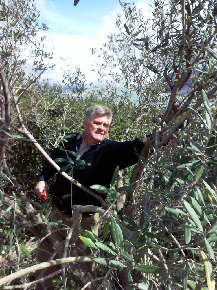 Univerzitet Crne Gore