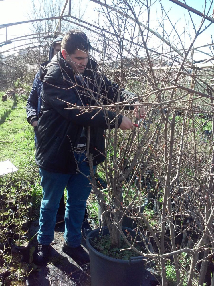 Univerzitet Crne Gore