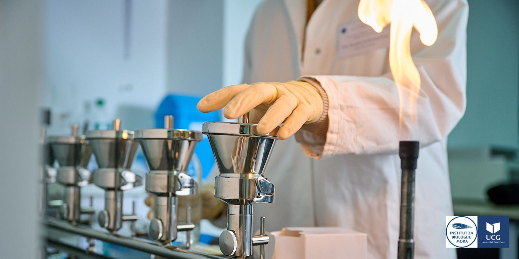 Univerzitet Crne Gore