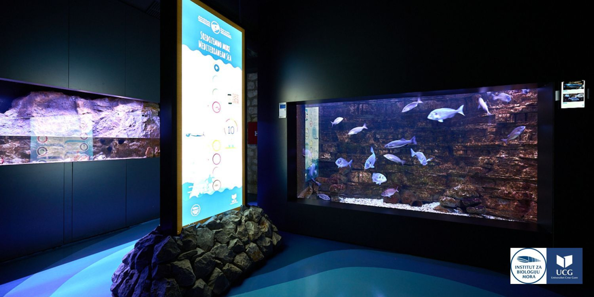 AQUARIUM BOKA    Working Hours