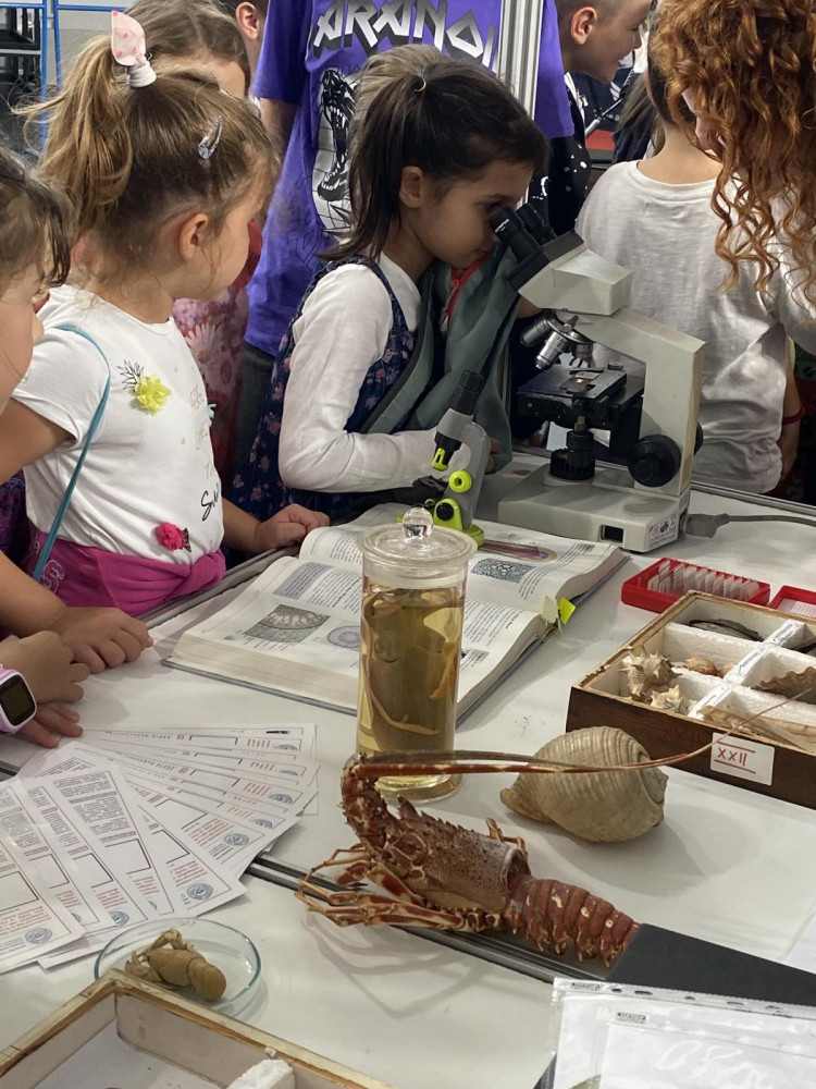 Univerzitet Crne Gore