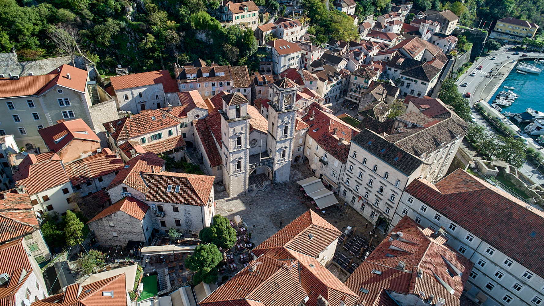 Univerzitet Crne Gore