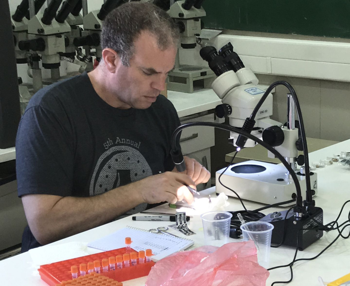 Univerzitet Crne Gore