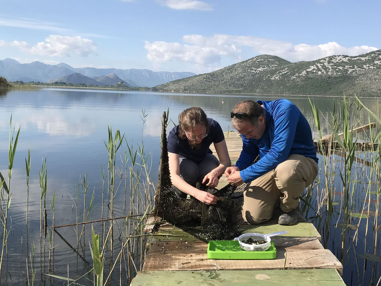 Univerzitet Crne Gore