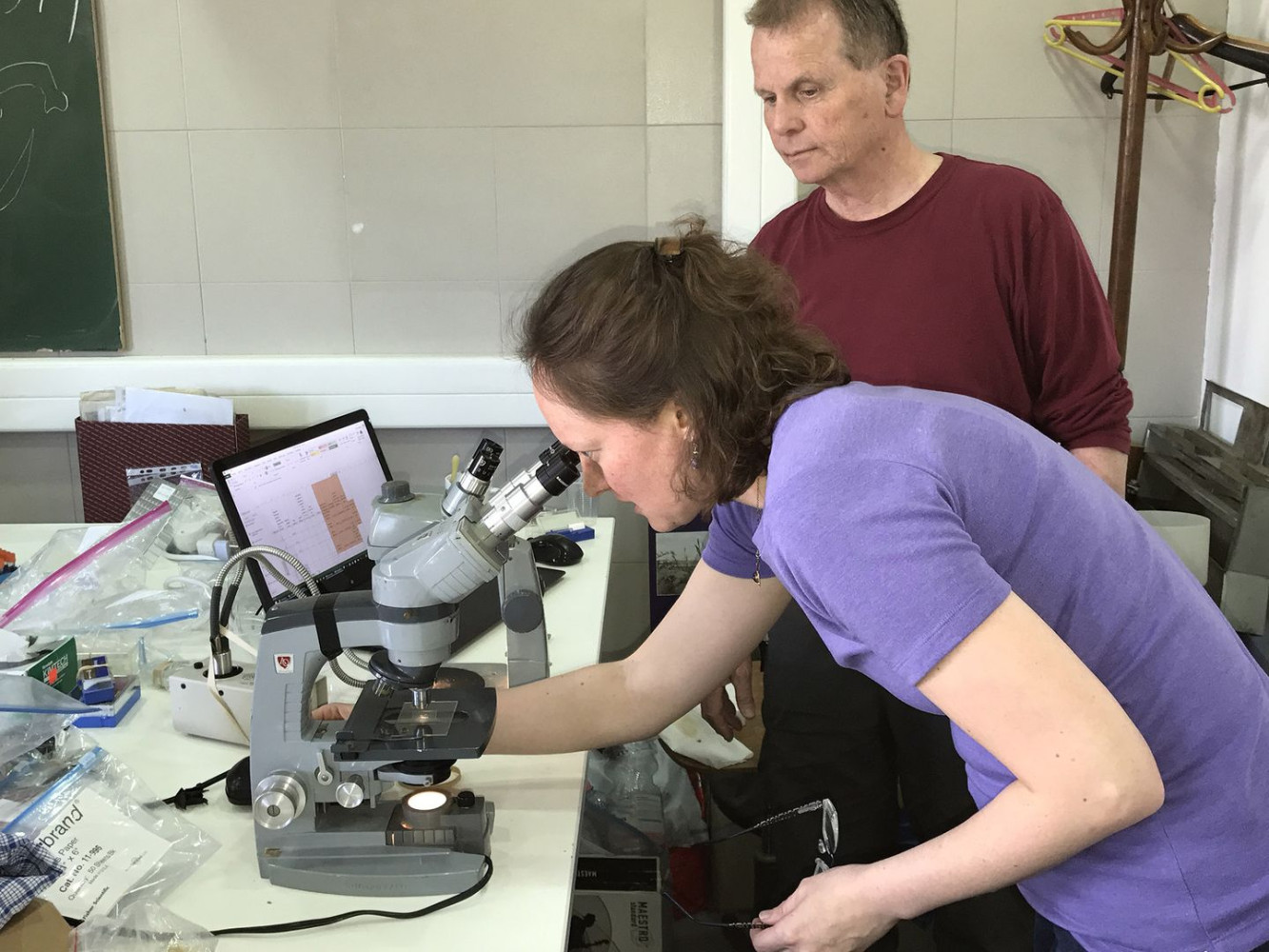 Univerzitet Crne Gore