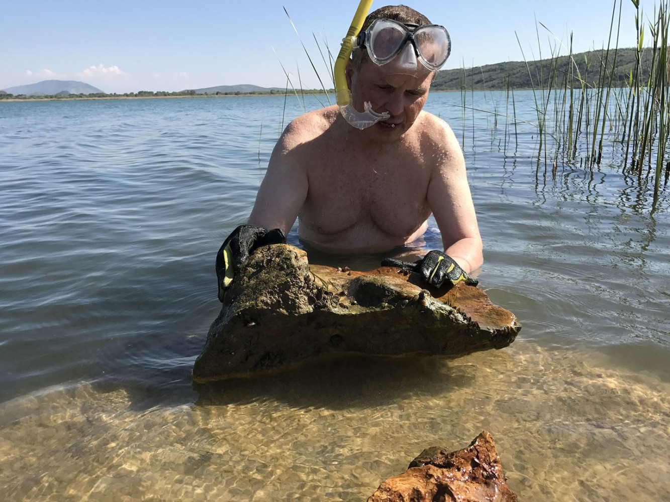 Univerzitet Crne Gore